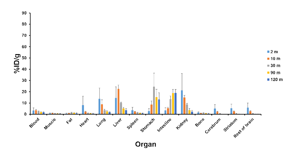 [125I]MK 주사 후 실험동물(mouse)의 각 장기에서의 방사능 분포