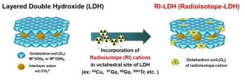 LDH 격자 층에 방사성동위원소를 담지하는 모식도