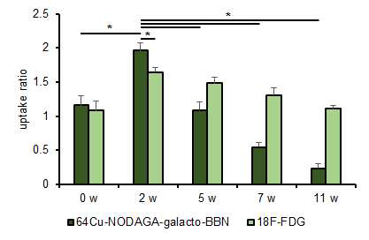 18F-FDG와 64Cu-NODAGA-galacto-BBN의 방사선 유도 폐 섬유화 모델에 대한 PET/CT영상에서의 uptake ratio 비교 그래프