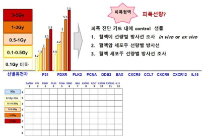 방사선 피폭진단 유전자군의 선량반응분석 및 피폭진단 키트 모식도