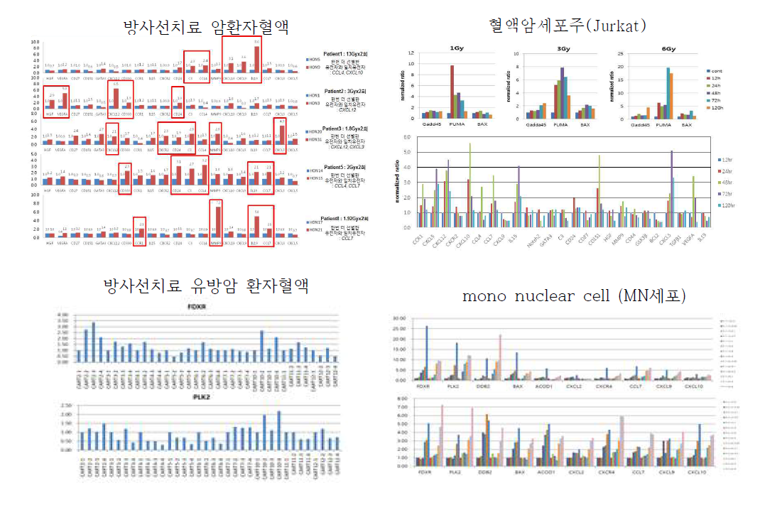 방사선 선량별 시간별 조사 후 선별 유전자 qPCR 방법을 통한 발현 분석