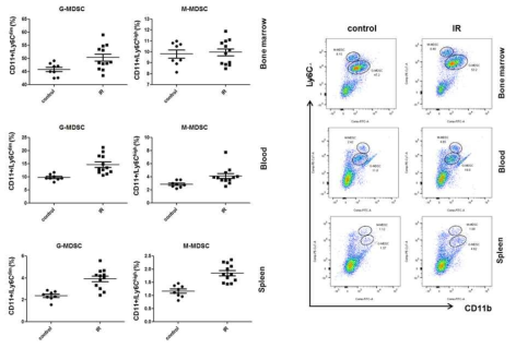 각 장기에서의 MDSC subtype G-MDSC와 M-MDSC의 증가 분포 확인