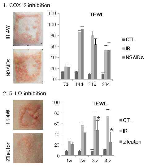 COX-2와 5-LO 억제제의 방사선 피부염 완화 효과 임상 및 피부기능 평가