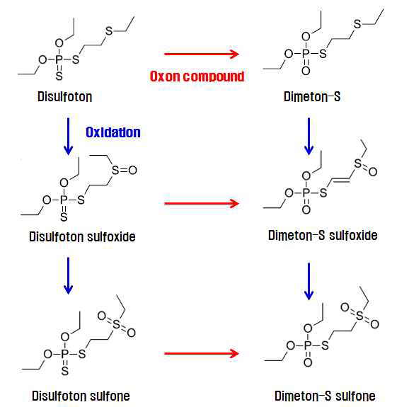 Disulfoton 대사산물의 산화 유도체 형성 모식도