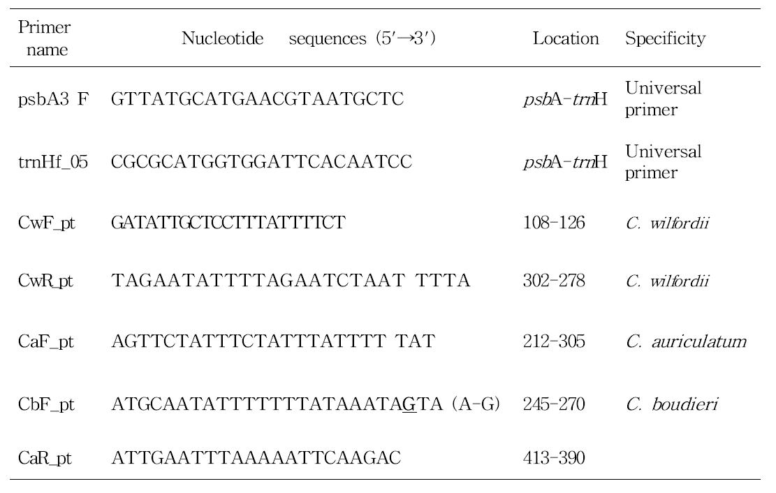 본 연구에 사용된 백수오, 이엽우피소 및 절관우피소 특이 프라이머
