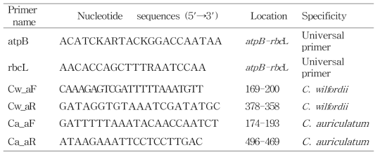 본 연구에 사용된 백수오, 이엽우피소 및 절관우피소 특이 프라이머
