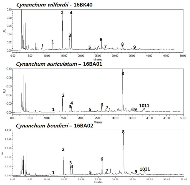 HPLC chromatogram – 백수오 (16BK001), 이엽우피소 (16BA001), 절관우피소 (16BA02) 1. cynanoneside B , 2. p-hydroxyacetophenone, 3. cynandione A, 4. 2,4-dihydroxyacetophenone, 5. succinic acid, 6, cynauriculoside A, 7. wilfoside C1G, 8. wilfoside K1N, 9. wilfoside C1N, 10. unknown, 11. unknown