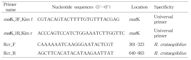 본 연구에 사용된 산딸기 특이 프라이머