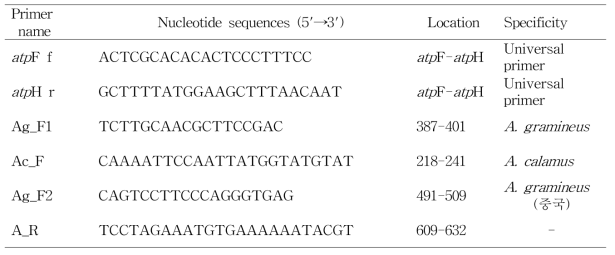본 연구에 사용된 석창포 및 창포 특이 프라이머