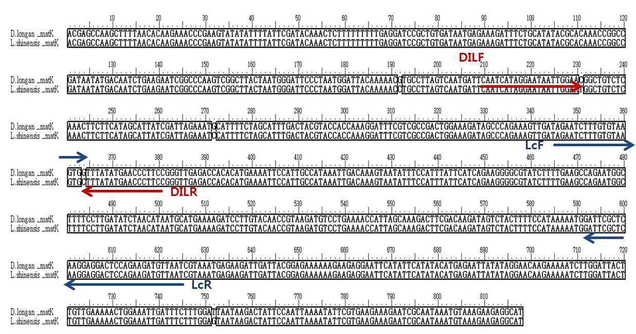 matK에 대한 D.longan 및 L. shinensis 특이 프라이머 디자인