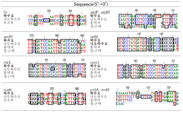 하수오 바코드 부위의 종 특이적 염기서열