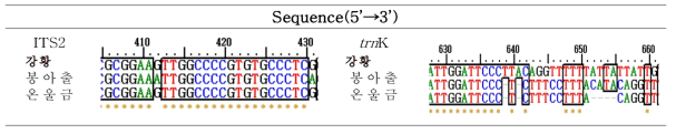 강황외 2종 바코드 부위의 종 특이적 염기서열