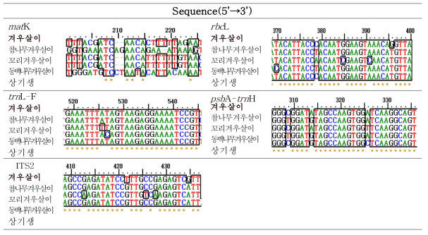 곡기생 바코드 부위의 종 특이적 염기서열