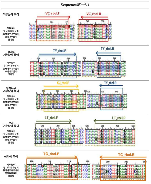 겨우살이(정품), 참나무겨우살이(위품), 꼬리겨우살이(위품), 동백나무겨우살이(위품), 상기생(위품)에 대한 종 특이 부위