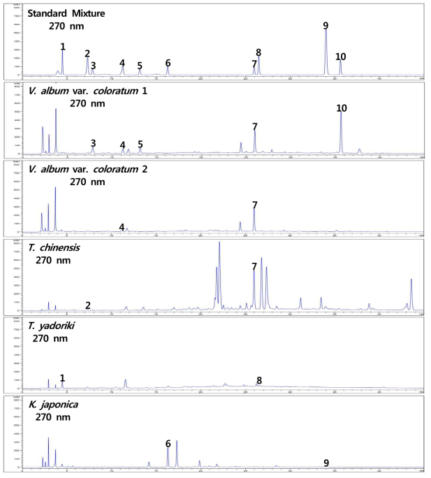 HPLC chromatogram – Standard mixture, 겨우살이1, 겨우살이2, 상기생, 참나무겨우살이, 동백나무겨우살이 gallic acid (1), protocatechuic acid (2), neochlorogenic acid (3), syringin (4), 4-O-caffeoylquinic acid (5), vicenin-2 (6), viscumneoside Ⅲ (7), quercitrin (8), t-cinnamic acid (9), homoflavoyadorinin B (10)