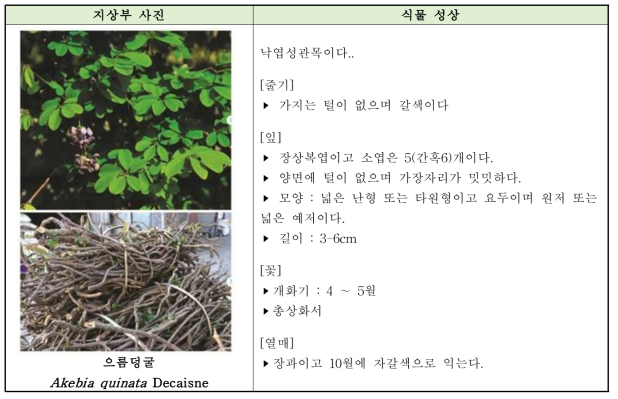 기원식물의 외부 성상