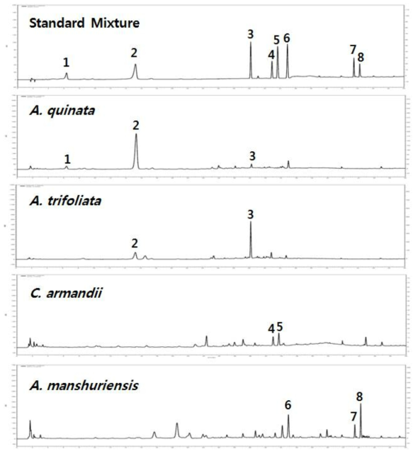 HPLC chromatogram – Standard mixture, 목통, 삼엽목통, 천목통, 관목통 2-(3,4-dihydroxyphenyl-ethyl-O-β-D-glucopyranoside (1), 3-caffeoylquinic acid (2), calceolarioside B (3), secoisolariciresinol (4), lariciresinol (5), N-trans-feruloyltyramine (6), aristolochic acid II (7), aristolochic acid I (8)