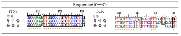 봉아출외 2종 바코드 부위의 종 특이적 염기서열