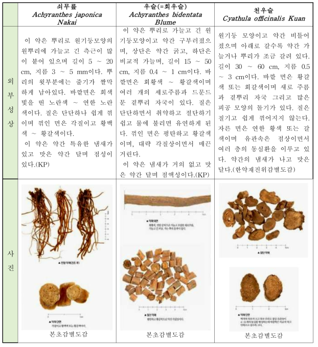 우슬 한약재 외부성상 비교