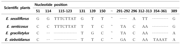 오가피나무 외 3종 psbA-trnH구간의 종 특이부위
