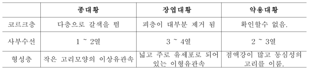 종대황, 장엽대황, 약용대황 내부 형태 비교