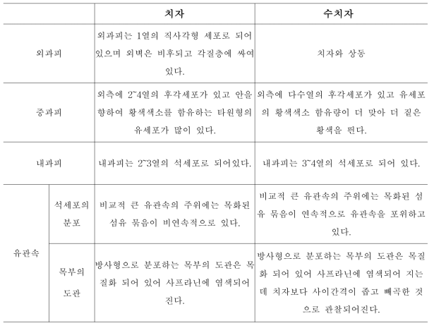 치자와 수치자의 내부 형태 비교