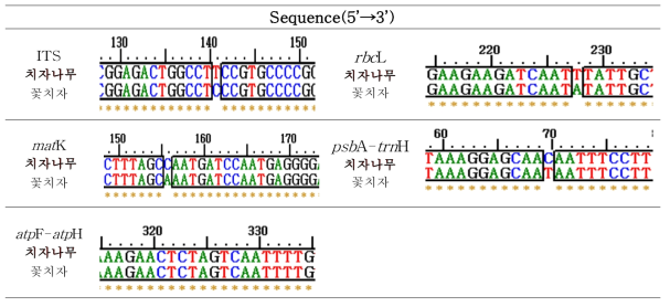 치자 바코드 부위의 종 특이적 염기서열