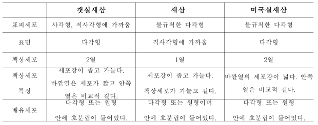 갯실새삼 과 새삼의 내부 형태 비교