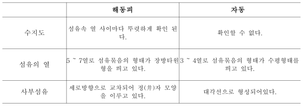 해동피 자동의 내부 형태 비교