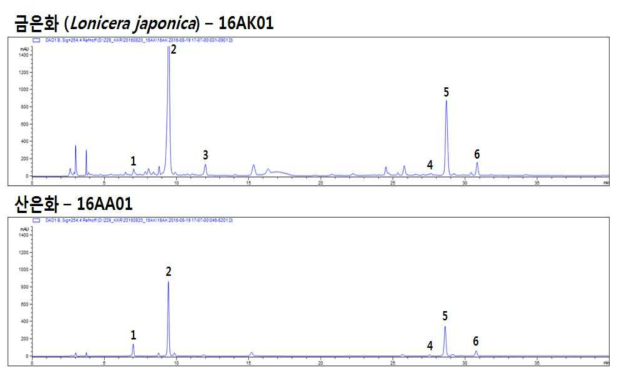 HPLC chromatogram – 금은화 (위, 16AK01) 및 산은화 (아래, 16AA01) 1. Neochlorogenic acid, 2. Chlorogenic acid, 3. Sweroside, 4. 3,4-O-Dicaffeoylquinic acid, 5. 3,5-O-Dicaffeoylquinic acid, 6. 4,5-O-Dicaffeoylquinic acid