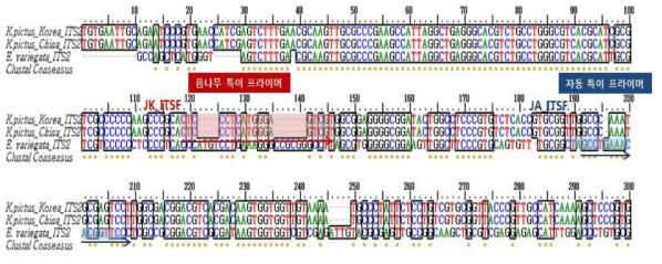 각 특이 프라이머 사이즈