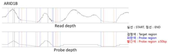 Read depth와 해당 position의 probe depth 간의 연관성 확인
