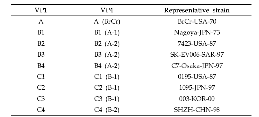 VP1과 VP4 부위에 대한 분석을 기초로 한 엔테로바이러스 71 아형에 대한 분류