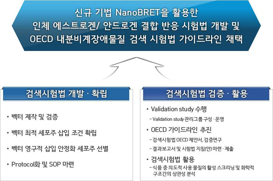 연구 추진전략 및 추진체계