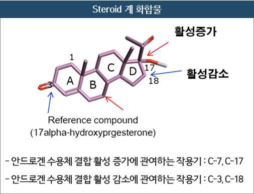 Steroid계 화합물의 구조 활성 상관관계 요약