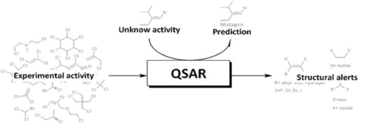 (Q)SAR 모델을 활용한 시험물질의 활성과 화학적 구조간의 상관성 분석 과정