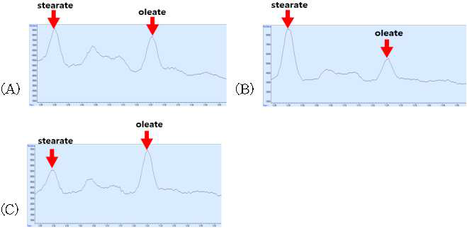 GC-MS를 이용한 사과 껍질의 지방산 분석 결과: (A) 사과 껍질(control) (B) morpholine stearate를 첨가한 사과 껍질, (C) morpholine oleate를 첨가한 사과 껍질