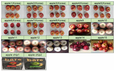 국내(안성), 중국(북경), 미국(보스톤) 사과 샘플