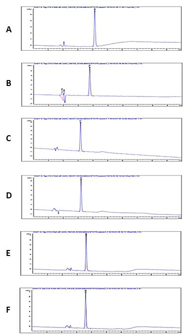 HPLC Method 1~6 (A~F)를 사용한 chromatogram