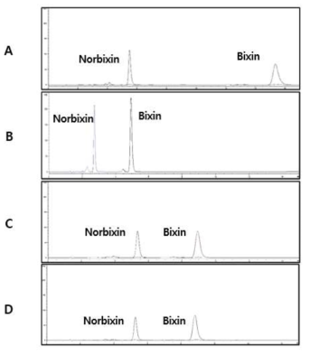 HPLC Method 1~4 (A~D)를 사용한 chromatogram. (노르빅신 빅신 10 ppm)