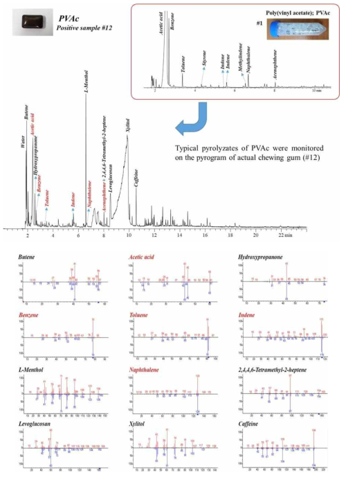 PVAc 양성시료를 Py-GC/MS로 분석한 결과