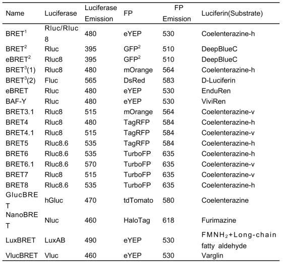 Different BRET systems that can be used in protein-protein interactions (PPIs) studies