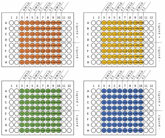 hERα NanoBRET 최적 조합 및 비율 실험을 위한 NanoBRET assay plate 디자인