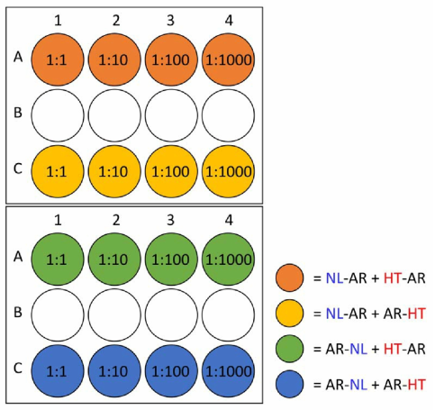 hAR NanoBRET 최적 조합 및 도입 비율 실험을 위한 transient transfection plate 디자인