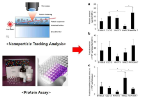 NTA와 Protein assay를 이용한 세포외소포의 농도 측정 (참고문헌: Charoenviriyakul C. et al., Eur. J. Pharm. Sci., 2017, 96:316-322)