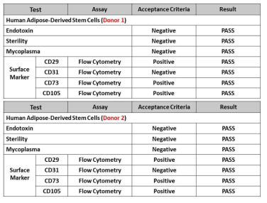 다양한 공여자 유래 줄기세포를 이용한 줄기세포 품질 평가