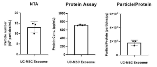 UC-MSC 세포외소포의 단백질양, 입자수 및 단백질양 대비 입자수 평가