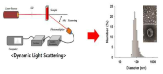 DLS를 이용한 세포외소포의 크기분포 시험법