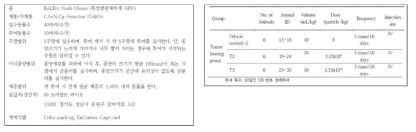 종양세포가 이식된 면역부전마우스에서의 중간엽 줄기세포 유래 세포외소포(ASC- 및 UC-extracellular vesicles) 반복 투여에 따른 종양증식영향 평가 시험군 정보