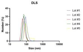 세포외소포 크기분포 평가: DLS